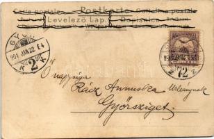 1901 Art Nouveau lady. Floral, litho (fa)