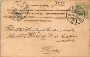 1905 Art Nouveau lady. Floral, litho s: Hegedüs Geiger R. (EK)