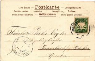 1901 Art Nouveau lady. Floral, litho (szakadás / tear)