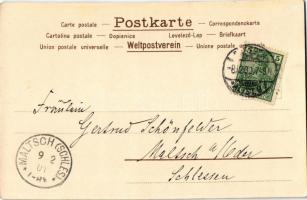 1900 Art Nouveau lady. Floral, litho (Rb)