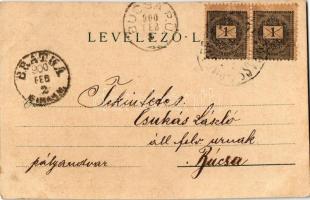 1900 Art Nouveau lady. Floral, litho (EK)