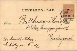 1899 (Vorläufer) Art Nouveau lady. Floral, litho (b)