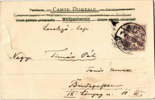 1900 Art Nouveau lady with champagne. litho (fa)