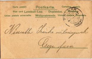 1902 Art Nouveau lady. litho