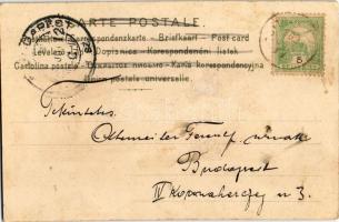 1902 Art Nouveau lady. Serie 622. litho (ázott sarok / wet corner)