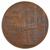 Fritz Mihály (1947- ) DN Vaszy Viktor / Szegedi Nemzeti Színház - Pro Theatre kétoldalas, öntött bronz emlékérem (100mm) T:1-