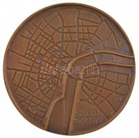Fritz Mihály (1947- ) 1979. Szeged 1879-1979 Szeged belvárosának térképét ábrázoló egyoldalas, bronz plakett (119mm) T:1-