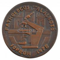 1978.. Pathologus Találkozó - Sopron 1978 egyoldalas, öntött bronz emlékérem (82mm) T:1-
