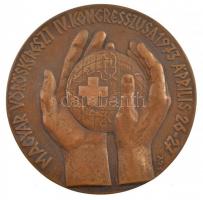 Palotai Gyula (1911-1977) 1973. Magyar Vöröskereszt IV. Kongresszusa 1973. április 26-27. egyoldalas, öntött bronz emlékplakett (114mm) T:1-
