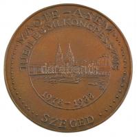 Stanzel Antal (1938-1998) 1988. MAOTE - ASEM Jubileumi Kongresszus - Szeged - 1978-1988 egyoldalas, öntött bronz plakett (117mm) T:1-