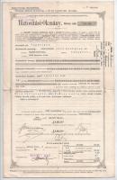 Budapest 1928. "JANUS Kölcsönös Életbiztosító Intézet" biztosítási okmány bélyegzésekkel, ...