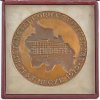 1979. "Kistarcsai Kórház építéséért - Pest megye 1979" egyoldalas, öntött bronz emlékérem,...