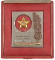 1960. Fegyveres Testületek Spartakiádja tokba rögzített, részben zománcozott sport emlékplakett (106x91mm) T:1- tok belső részén tűnyomok