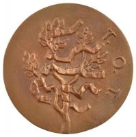Somogyi Árpád (1926-) ~1980. T.O.T. (Termelőszövetkezetek Országos Tanácsa) / Kiváló Termelőszövetkezeti Munkáért kétoldalas, öntött bronz emlékérem eredeti tokban (95mm) T:1-