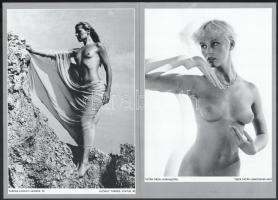 1984 Akt-mappa 1984. Vál. Győri Lajos. Bp., Ofotért. Kiadói kissé szakadt papírmappa, 40 t. Komplett...