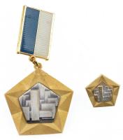 ~1970. Az Építőipar Kiváló Dolgozója aranyozott, festett kitüntetés miniatűrrel, dísztokban T:1