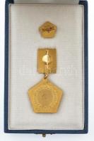 ~1970. "Az Építőipar Kiváló Dolgozója" aranyozott, festett kitüntetés miniatűrrel, dísztok...