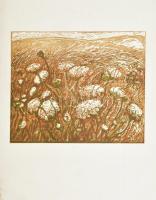 Somlai Vilma (1938-2007): Virágos domb. Színes linómetszet, papír, jelzett, hátoldalán Rézkarcoló Művészek Alkotóközössége és a művész pecsétjével, kis sérülésekkel, 30×35 cm