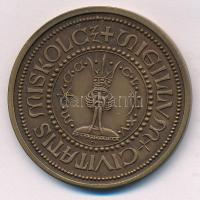 Tóth Sándor (1933-) "MISKOLCZ SIGILLUM CIVITATIS" kétoldalas bronz emlékérem (42,5mm) T:1-
