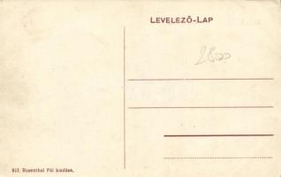 Kisjenő, Chisineu-Cris; Háda-részlet; Rosenthal Pál kiadása / riverside