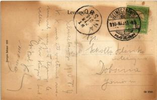 1910 Selmecbánya, Schemnitz, Banská Stiavnica; Villatelep. Joerges kiadása / villas (fl)