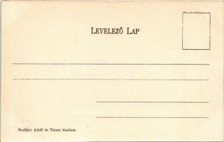 Besztercebánya, Banská Bystrica; Mátyás király tér és vár. Walther Adolf és Társai kiadása / square,...