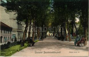 Besztercebánya, Banská Bystrica; Mátyás király tér. Grossmann Testvérek kiadása / square