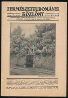 1924-1937 Természettudományi Közlöny 3 száma, változó állapotban