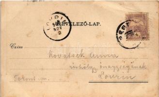 1900 Budapest XIX. Kispest, látkép. Fischhof Henrik kiadása (EB)