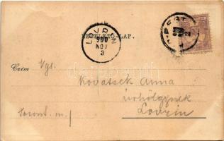 1900 Budapest XIX. Kispest, Színház, Bódy-féle kőszínház az Árpád utca és az Üllői út sarkán. Fischh...