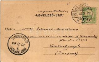 1903 Budapest VIII. Üllői úti klinikák a Mária utca sarkán, villamos. Divald Károly 110. sz