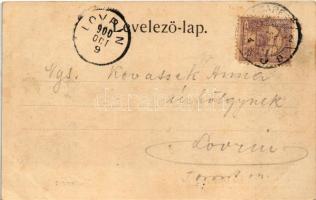 1900 Budapest XIII. Margitsziget, Alsó vendéglő, kert vendégekkel. Ganz Antal 22. (fl)