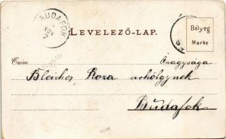 Lady art postcard. litho (EK)