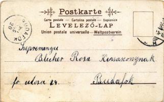 1901 Children art postcard, girl feeding ducks. litho (EK)