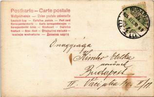 1905 Boldog Újévet! / New Year greeting card (fl)