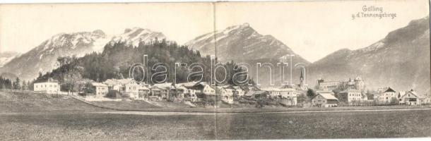 Galling panorama card