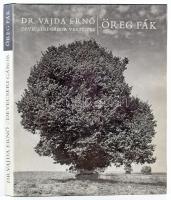 Vajda Ernő: Öreg fák. Devecseri Gábor verseivel. Szerk. Belia György. Bp., 1969, Natura. Megjelent 1100. példányban. Kiadói egészvászon kötés, kiadói papír védőborítóval, előzéklapon ajándékozási sorokkal.