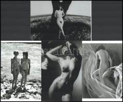 Szolidan erotikus felvételek több aktfotós hagyatékából vagy gyűjteményéből, 4 db mai nagyítás, 15x10 cm