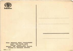 Indanthren textil festék reklámlap / Indanthren textile paint advertisement (EK)