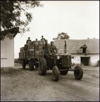 cca 1964 előtt készült műtermi és szabadtéri felvételek polgári lakosokról, 21 db vintage NEGATÍV a ...