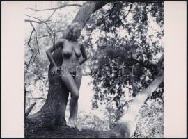 cca 1983 Szőke mókus fenn a fán, szolidan erotikus felvétel, 1 db vintage NEGATÍV, + hozzáadva az erről készült mai nagyítást, 24x18 cm és 6x6 cm
