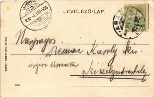 1905 Arad, Vesztőhely. Kerpel Izsó kiadása / monument (EK)