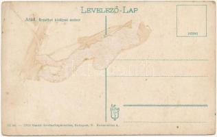 Arad, Erzsébet királyné (Sissi) szobor. Vasúti levelezőlapárusítás 11. sz. 1915. / monument, statue ...