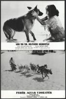 Kutyák különféle külföldi filmekben, 11 db vintage produkciós filmfotó, ezüst zselatinos fotópapíron, kisebb - a használatból eredő - hibákkal, 18x24 cm, vagy ehhez közeli méretekben (+ - 8 mm)