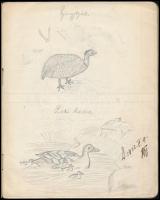 cca 1930 Irredenta rajzgyakorlati füzet, rajzokkal, 20,5x16,5 cm