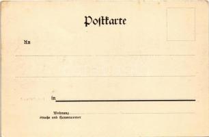 Dresden, Hauptbahnhof / railway station (fl)