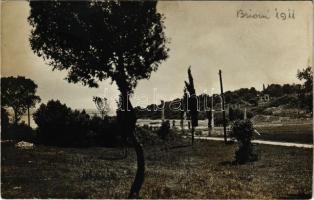 Brijuni, Brioni; Photogr. Kunstverlag Erich Bährendt (Abbazia) 1910. (fl)