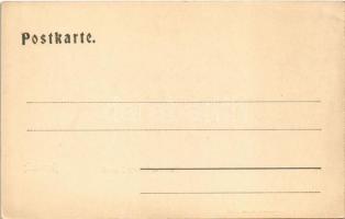 Bruneck, Brunico (Südtirol); Partie m. Schloss Bruneck / castle (EK)