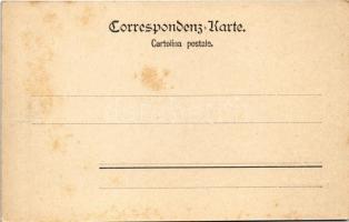 Trieste, Trieszt; Canal Grande / canal, ships (fl)