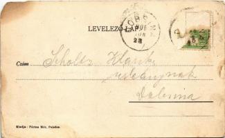 1906 Pelsőc, Pelsőcz, Pelsücz, Plesivec (Gömör); Korona szálloda és vendéglő, Faipar, Fő tér a város...